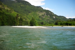 Fishing on Pitt River