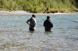 Fishing on Pitt River