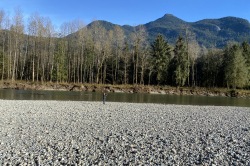 Pitt Lake