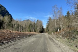 Pitt Lake