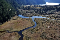 Pitt Lake