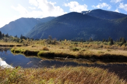 Pitt Lake