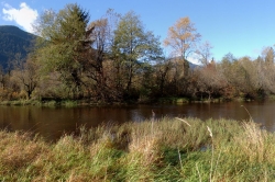 Pitt Lake