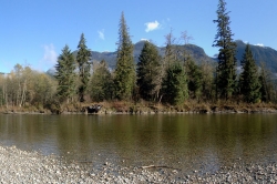 Pitt Lake