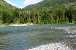 Fishing on Pitt River