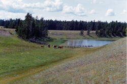 Nulki Lake Ranch