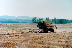 Ranch Haying