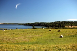 Nulki Lake Ranch