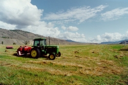 Ranch Life at Walachin