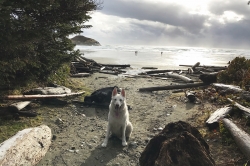 Duke_Tofino2