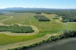 Tachick Lake Ranch  - Lot B