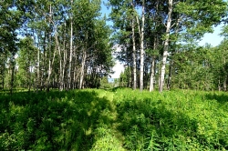 Photo09