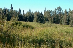 Photo11