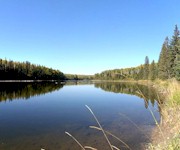 Nechako Riverfront, Vanderhoof