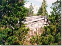 The abandoned cabin